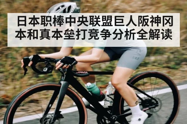 日本职棒中央联盟巨人阪神冈本和真本垒打竞争分析全解读