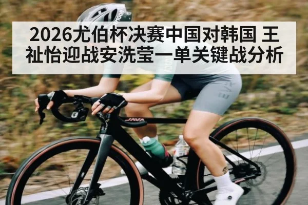 2026尤伯杯决赛中国对韩国 王祉怡迎战安洗莹一单关键战分析