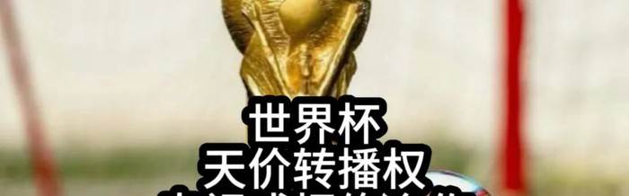 AG体育官方入口-央视硬刚FIFA：这届世界杯，不陪你玩了|中国队|美加墨世界杯|国际足联|扩军|球迷_新浪体育_新浪新闻